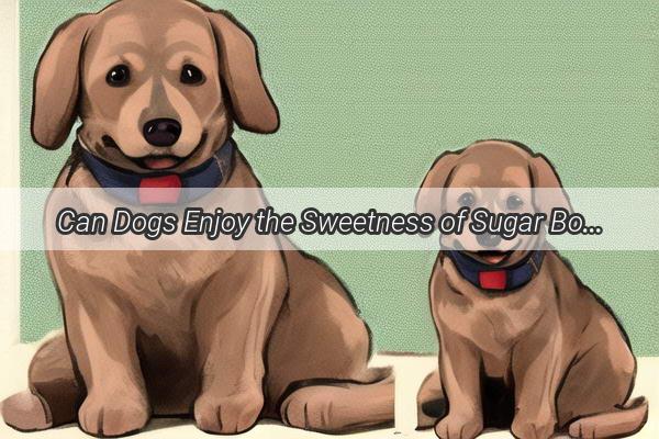 Can Dogs Enjoy the Sweetness of Sugar Bombs A Surprising Insight into Canine Sweets